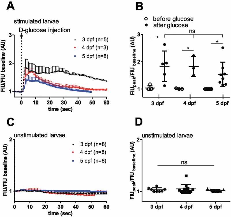 In vivo monitoring of intracellular Ca<sup>2+</sup> dynamics in the pancreatic β-cells of zebrafish embryos.