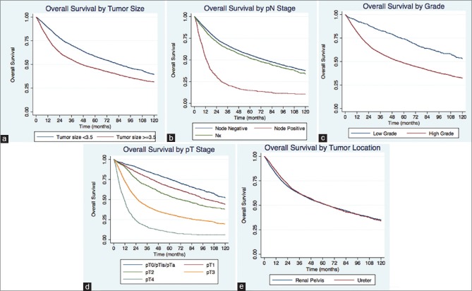 Effects of tumor size and location on survival in upper tract urothelial carcinoma after nephroureterectomy.