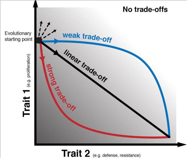 Life History Trade-Offs in Tumors.