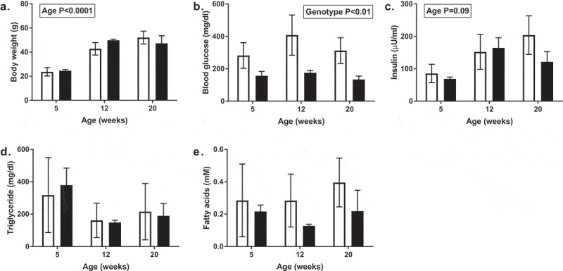 SGLT2 knockout prevents hyperglycemia and is associated with reduced pancreatic β-cell death in genetically obese mice.