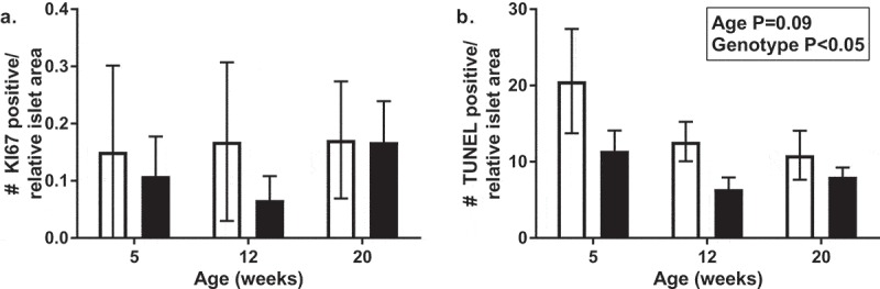 SGLT2 knockout prevents hyperglycemia and is associated with reduced pancreatic β-cell death in genetically obese mice.