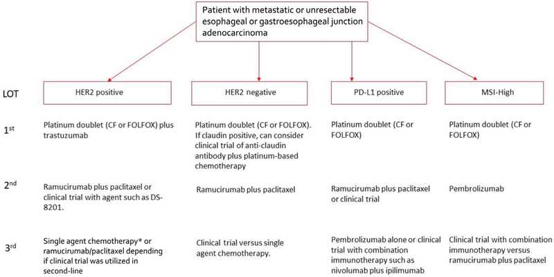 Evolving Management Strategies for Metastatic Esophageal and Gastroesophageal Junction Adenocarcinoma.