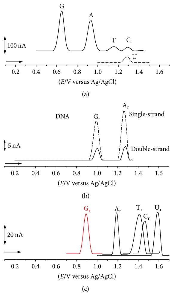 Electrochemical and AFM Characterization of G-Quadruplex Electrochemical Biosensors and Applications.