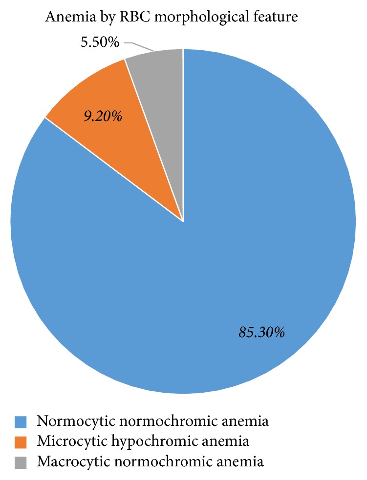 Magnitude of Anemia in Geriatric Population Visiting Outpatient Department at the University of Gondar Referral Hospital, Northwest Ethiopia: Implication for Community-Based Screening.