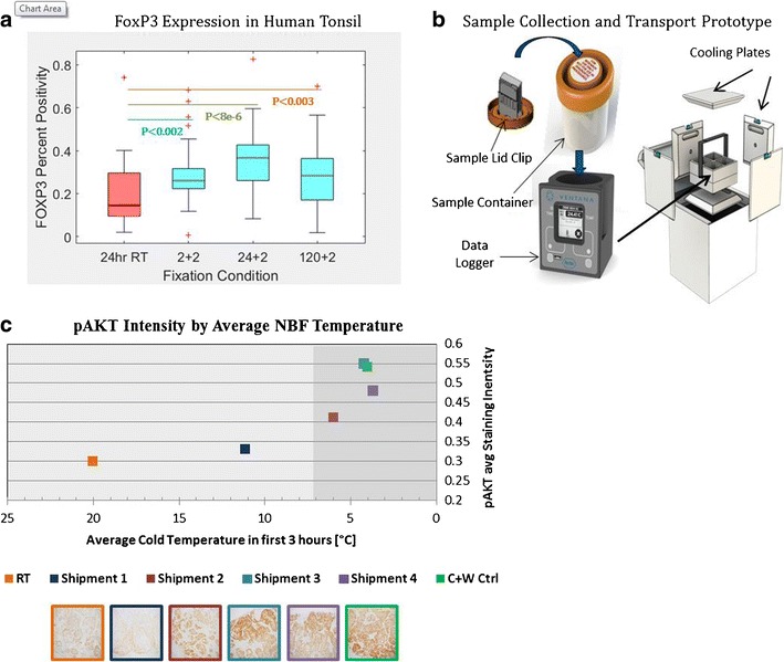 A New Paradigm for Tissue Diagnostics: Tools and Techniques to Standardize Tissue Collection, Transport, and Fixation.