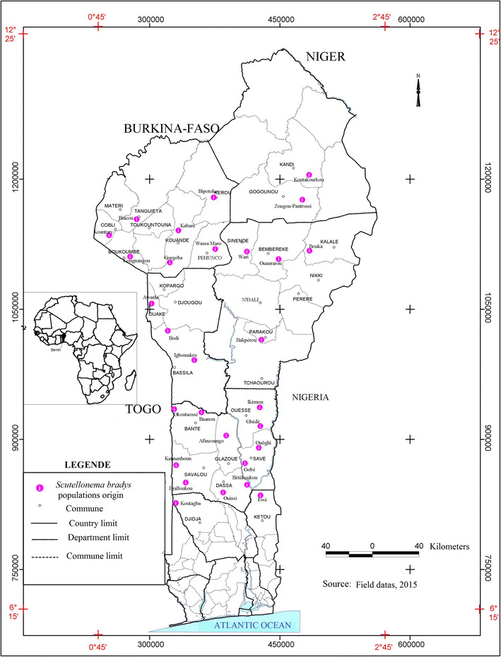 Molecular diversity of <i>Scutellonema bradys</i> populations from Benin, based on ITS1 rDNA and COI mtDNA.