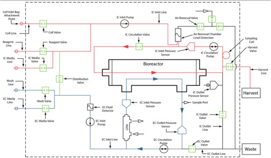 Optimizing T Cell Expansion in a Hollow-Fiber Bioreactor.