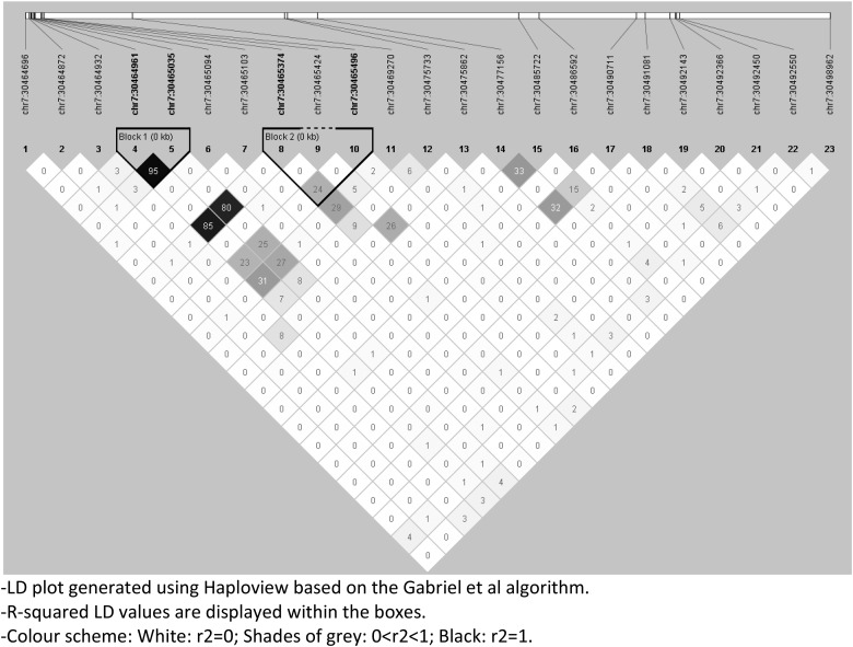 Novel polymorphisms in <i>TICAM2</i> and <i>NOD1</i> associated with tuberculosis progression phenotypes in Ethiopian populations.