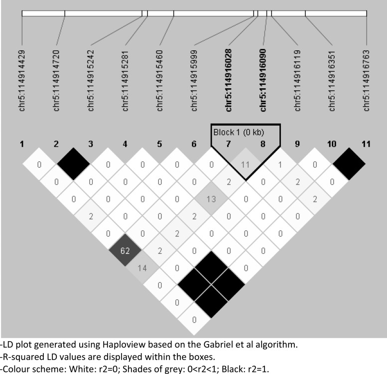 Novel polymorphisms in <i>TICAM2</i> and <i>NOD1</i> associated with tuberculosis progression phenotypes in Ethiopian populations.