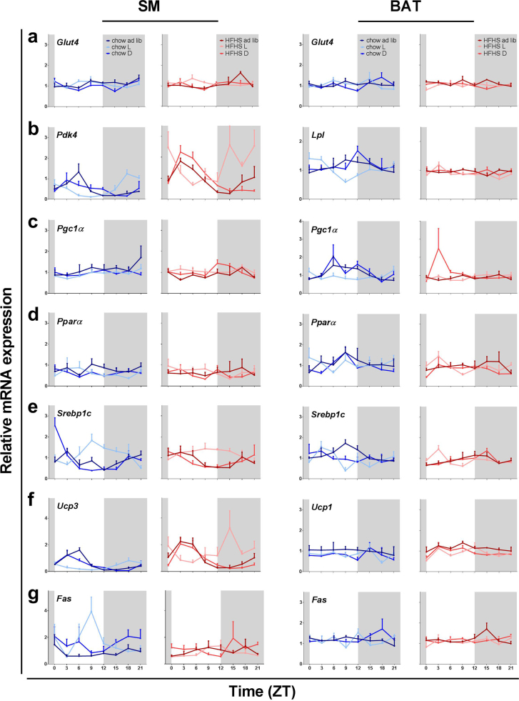 Differential effects of diet composition and timing of feeding behavior on rat brown adipose tissue and skeletal muscle peripheral clocks