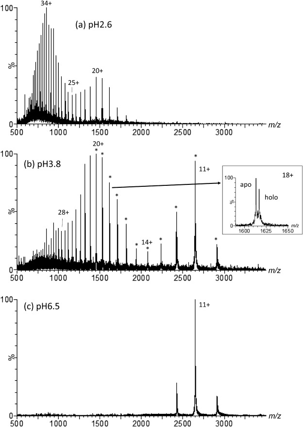 pH Dependence of the Number of Discrete Conformers of Carbonic Anhydrase 2, as Evaluated from Collision Cross-Section Using Ion Mobility Coupled with Electrospray Ionization.