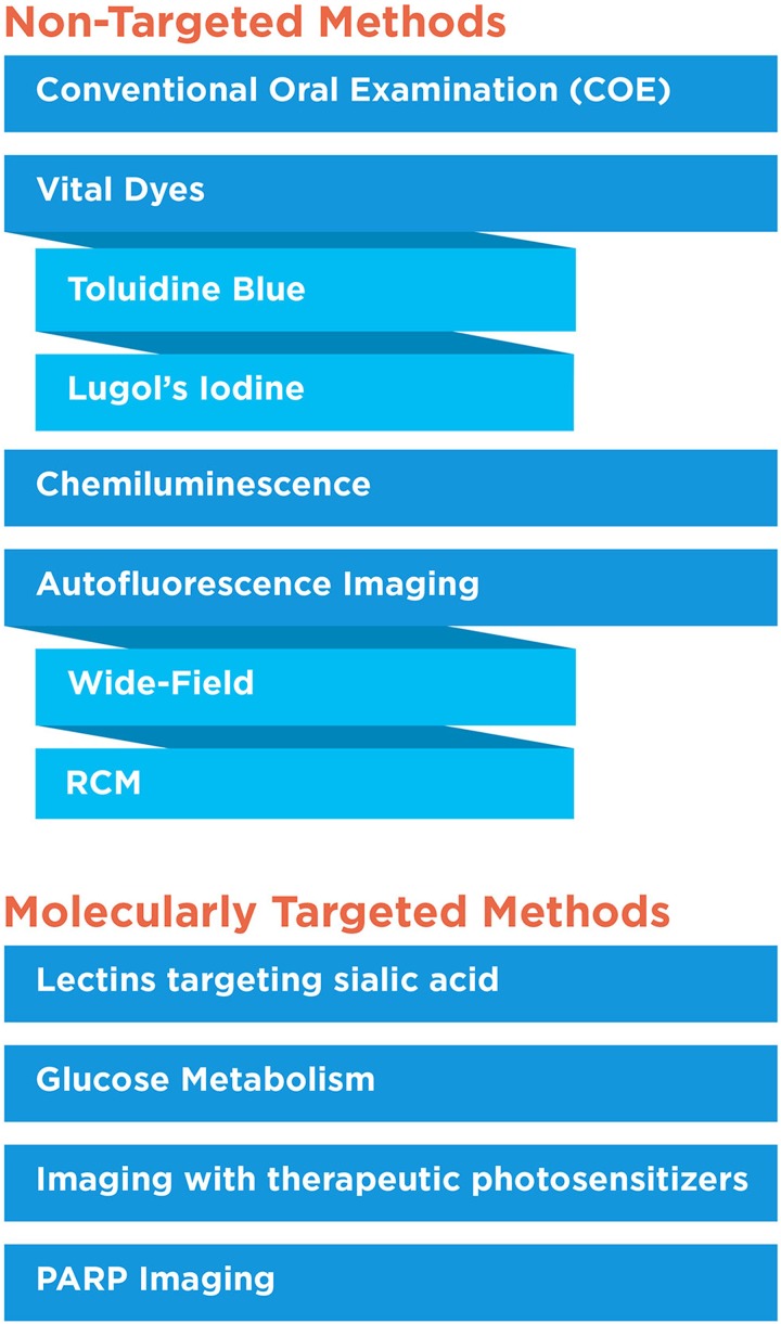 Current Practice and Emerging Molecular Imaging Technologies in Oral Cancer Screening.