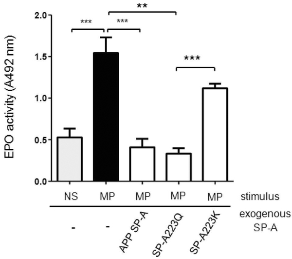 The Emerging Roles of Surfactant Protein-A in Asthma.