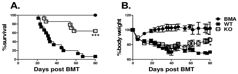 IL-27 Receptor Signaling on T cells Augments GVHD Severity through Enhancing Th1 Responses.