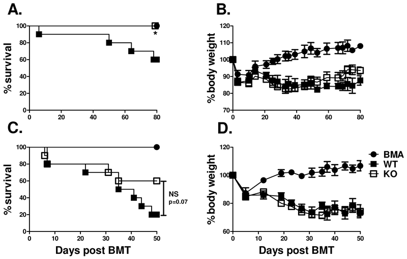 IL-27 Receptor Signaling on T cells Augments GVHD Severity through Enhancing Th1 Responses.