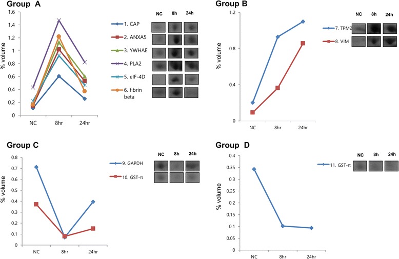 Proteomic identification of moesin upon exposure to acrolein.