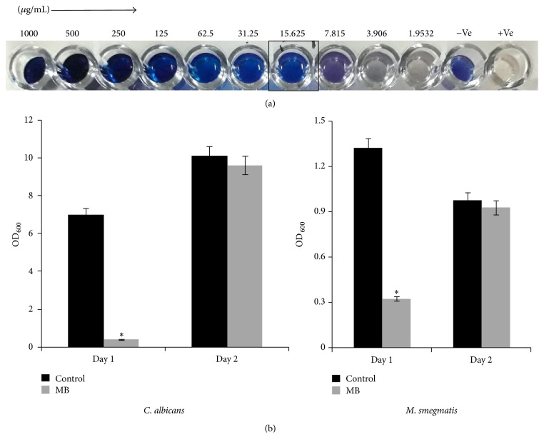 Nonphotodynamic Roles of Methylene Blue: Display of Distinct Antimycobacterial and Anticandidal Mode of Actions.