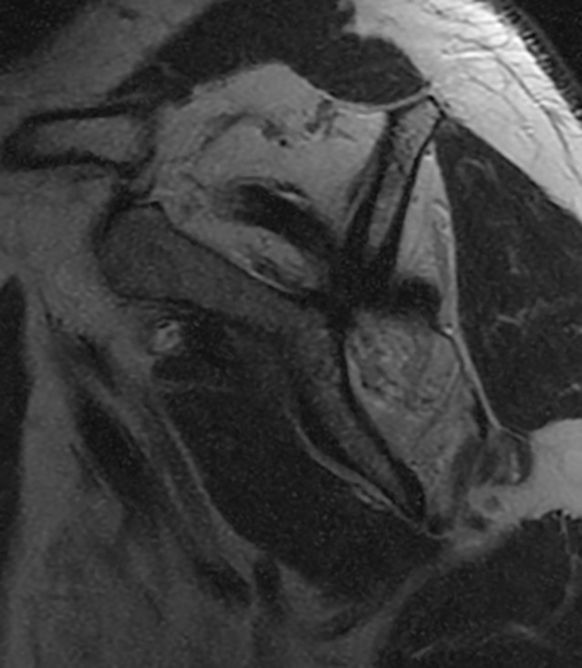 Abstract Image