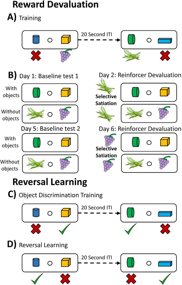 Tract-Specific White Matter Correlates of Age-Related Reward Devaluation Deficits in Macaque Monkeys.