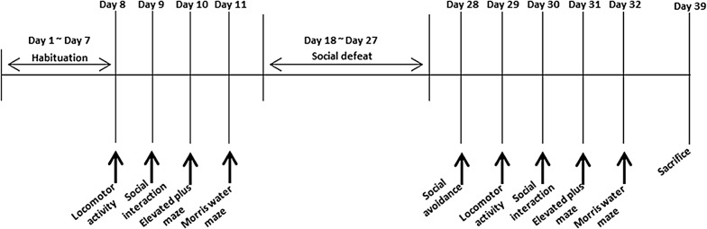 Effects of social defeat stress on dopamine D2 receptor isoforms and proteins involved in intracellular trafficking.