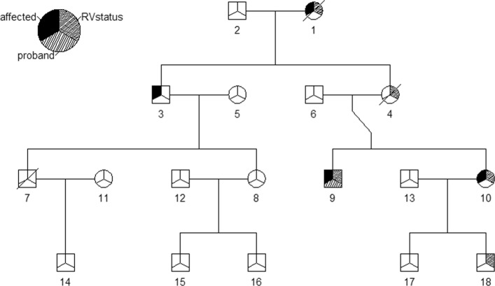 Simulating pedigrees ascertained for multiple disease-affected relatives.