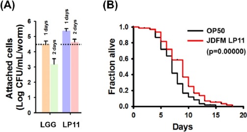 Comparative Genome Analysis and Evaluation of Probiotic Characteristics of <i>Lactobacillus plantarum</i> Strain JDFM LP11.