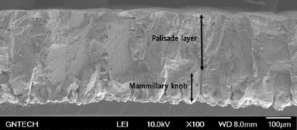 The Influence of Hen Aging on Eggshell Ultrastructure and Shell Mineral Components.