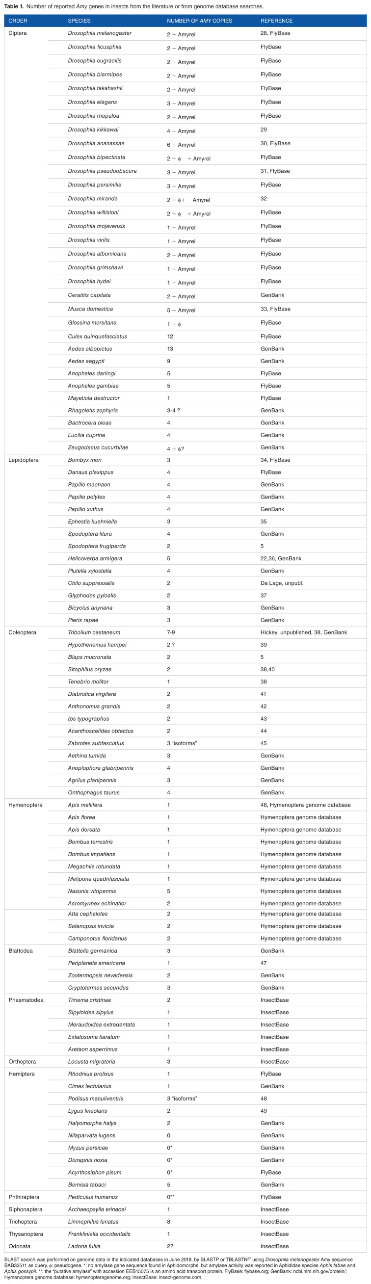 The Amylases of Insects.