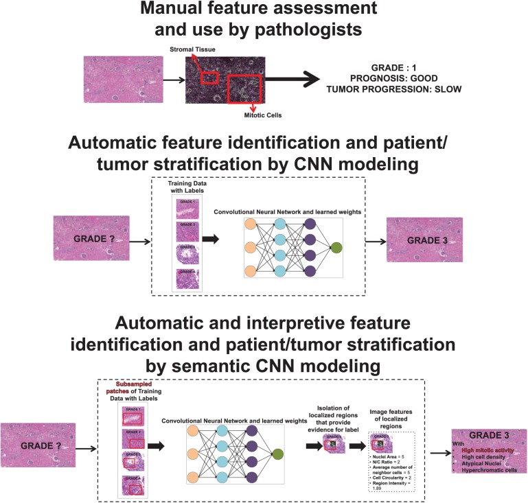 Imitating Pathologist Based Assessment With Interpretable and Context Based Neural Network Modeling of Histology Images.