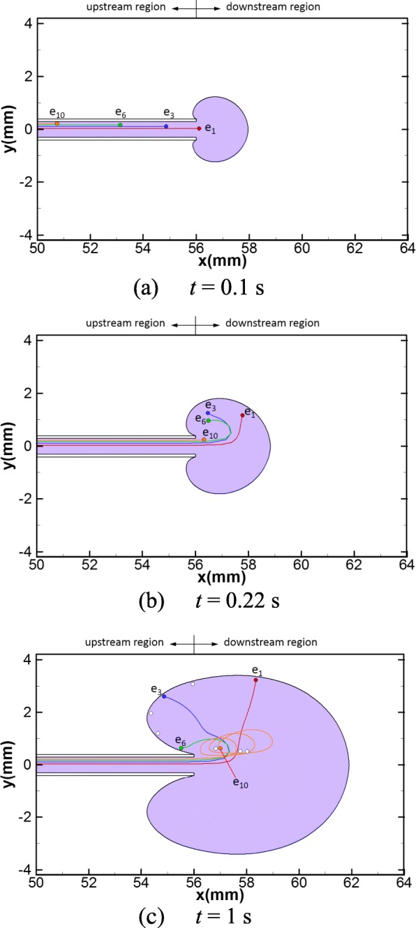 Numerical simulation of embryo transfer: how the viscosity of transferred medium affects the transport of embryos.