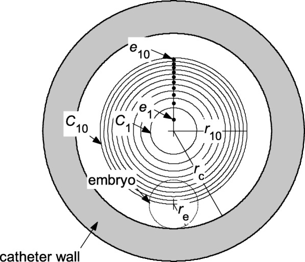 Numerical simulation of embryo transfer: how the viscosity of transferred medium affects the transport of embryos.