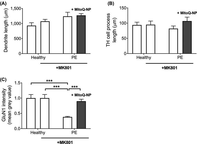 Preeclamptic placentae release factors that damage neurons: implications for foetal programming of disease.