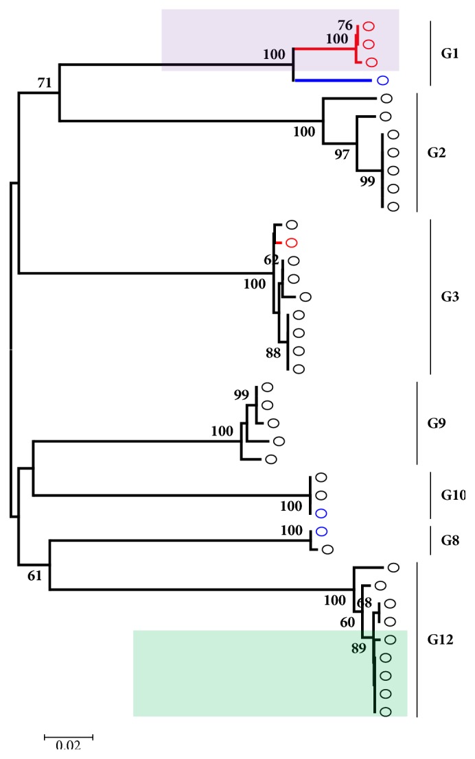 Epidemiology of Rotavirus A in Nigeria: Molecular Diversity and Current Insights.