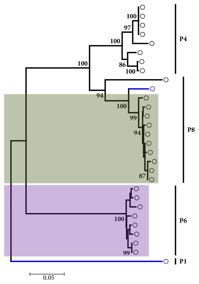 Epidemiology of Rotavirus A in Nigeria: Molecular Diversity and Current Insights.