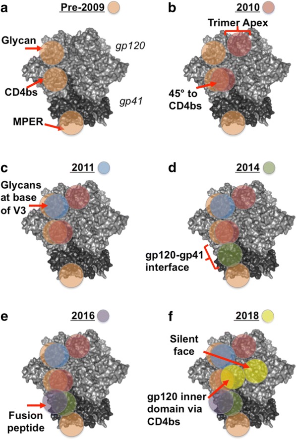 The expanding array of HIV broadly neutralizing antibodies.