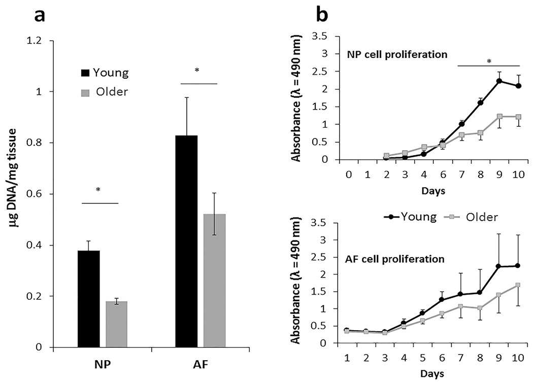 Age-dependent changes in intervertebral disc cell mitochondria and bioenergetics.