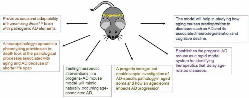Modeling Alzheimer's disease in progeria mice. An age-related concept.