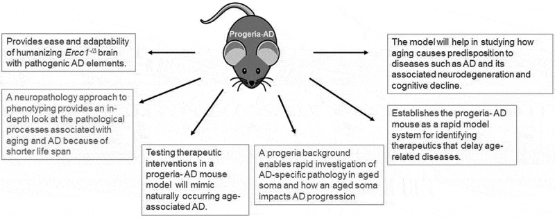 Modeling Alzheimer's disease in progeria mice. An age-related concept.