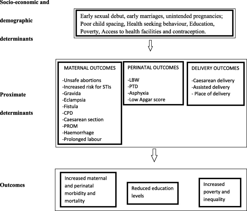 A retrospective analysis of adverse obstetric and perinatal outcomes in adolescent pregnancy: the case of Luapula Province, Zambia.