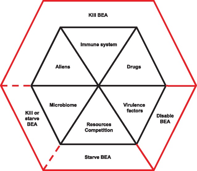 An ecosystem framework for understanding and treating disease.