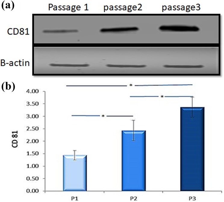 Adipose mesenchymal stem cells-derived exosomes attenuate retina degeneration of streptozotocin-induced diabetes in rabbits.