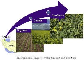 Cradle to farm gate life cycle assessment of oilseed crops production in Iran