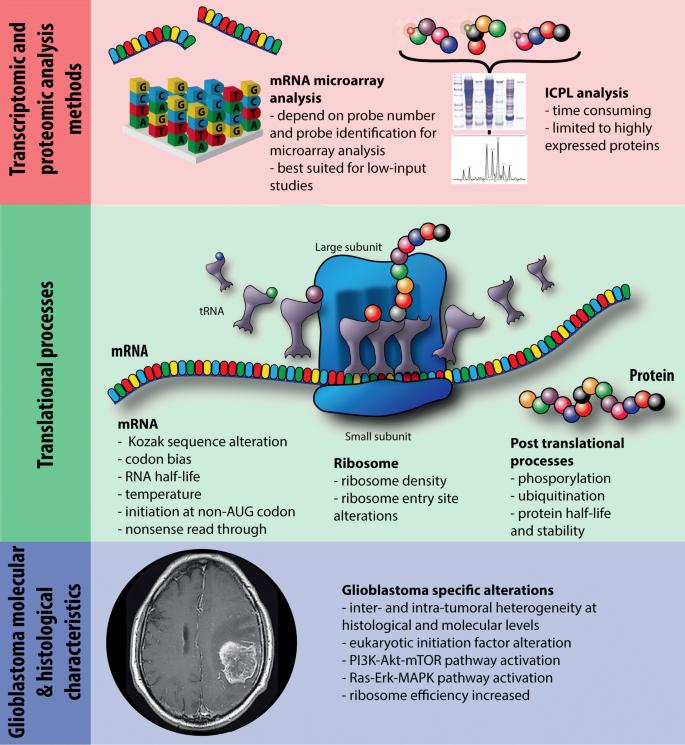 Integration of transcriptome and proteome profiles in glioblastoma: looking for the missing link