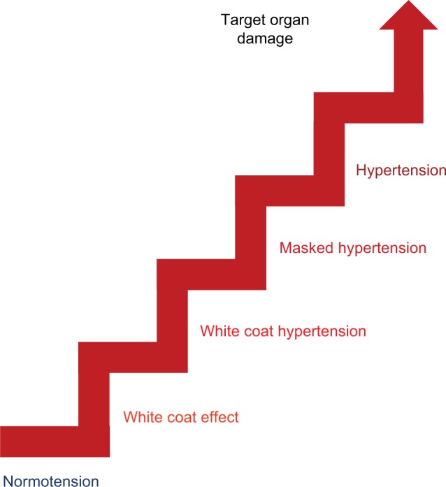 White coat syndrome and its variations: differences and clinical impact.