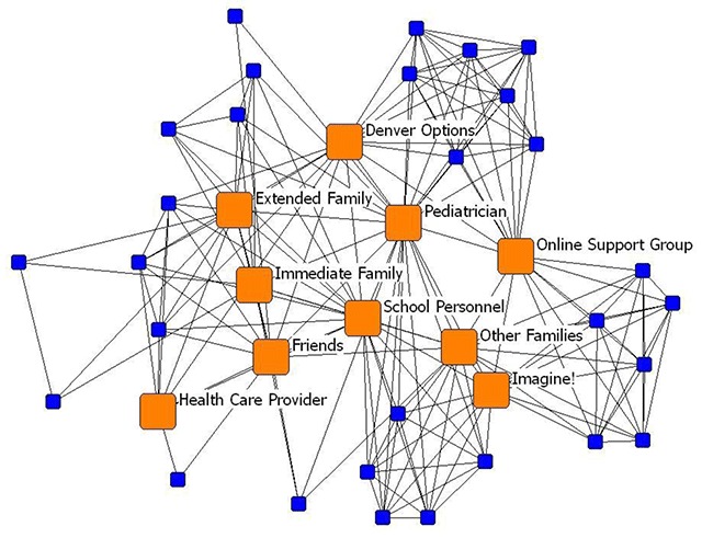 Social Connectedness in Family Social Support Networks: Strengthening Systems of Care for Children with Special Health Care Needs.