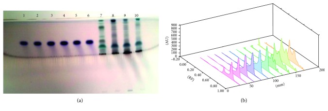 HPTLC Analysis of <i>Solanum xanthocarpum</i> Schrad. and Wendl., a <i>Siddha</i> Medicinal Herb.