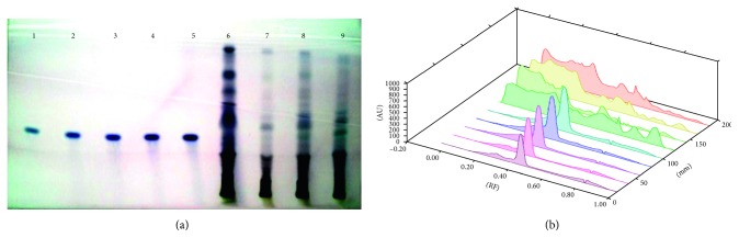 HPTLC Analysis of <i>Solanum xanthocarpum</i> Schrad. and Wendl., a <i>Siddha</i> Medicinal Herb.