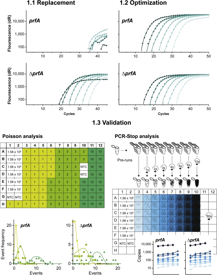 Essential role of polymerases for assay performance – Impact of polymerase replacement in a well-established assay