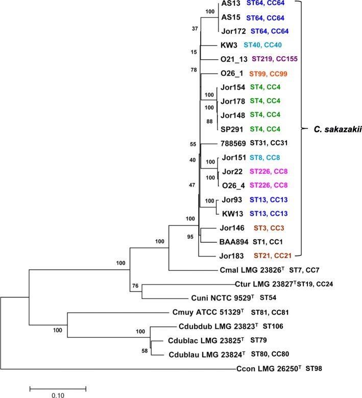 Draft genomes of <i>Cronobacter sakazakii</i> strains isolated from dried spices bring unique insights into the diversity of plant-associated strains.