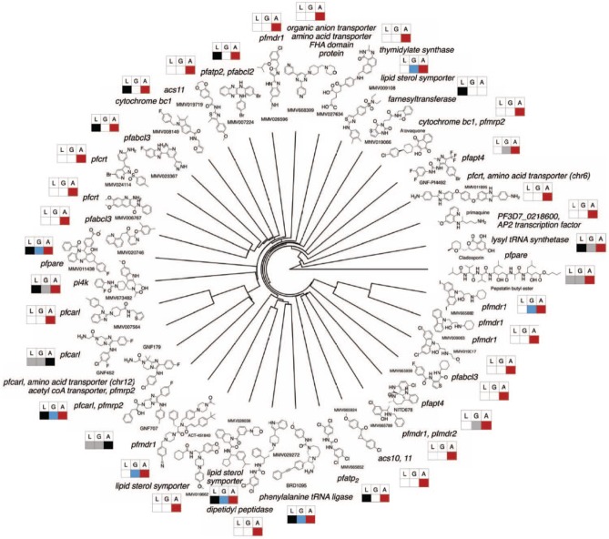 Exploration of the <i>Plasmodium falciparum</i> Resistome and Druggable Genome Reveals New Mechanisms of Drug Resistance and Antimalarial Targets.